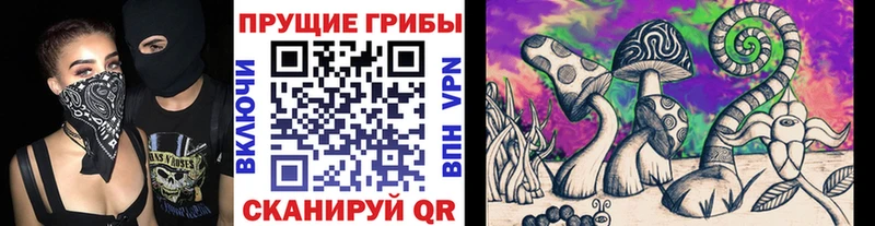 цена   Пыталово  Псилоцибиновые грибы MAGIC MUSHROOMS 